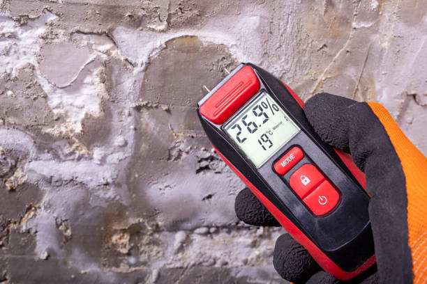 Best Mold Testing and Inspection Services in Arlington, WA